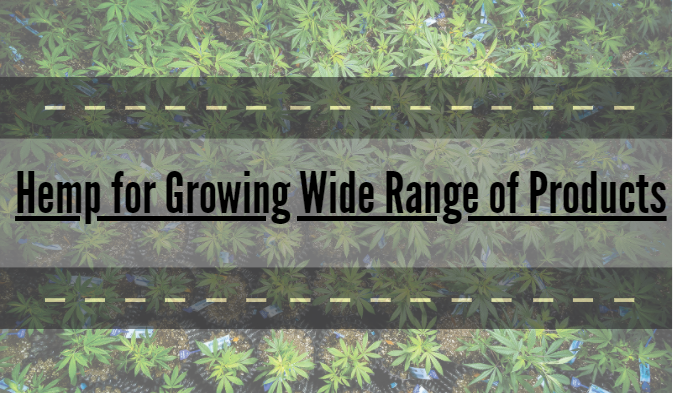 Hemp for Growing Wide Range of Products