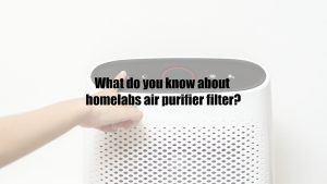What do you know about homelabs air purifier filter?